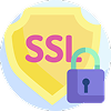 SSL security